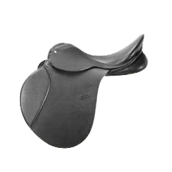 Saddle